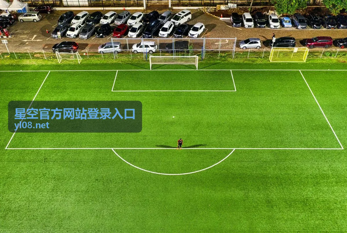 星空官方网站登录入口的异常排查示意图
